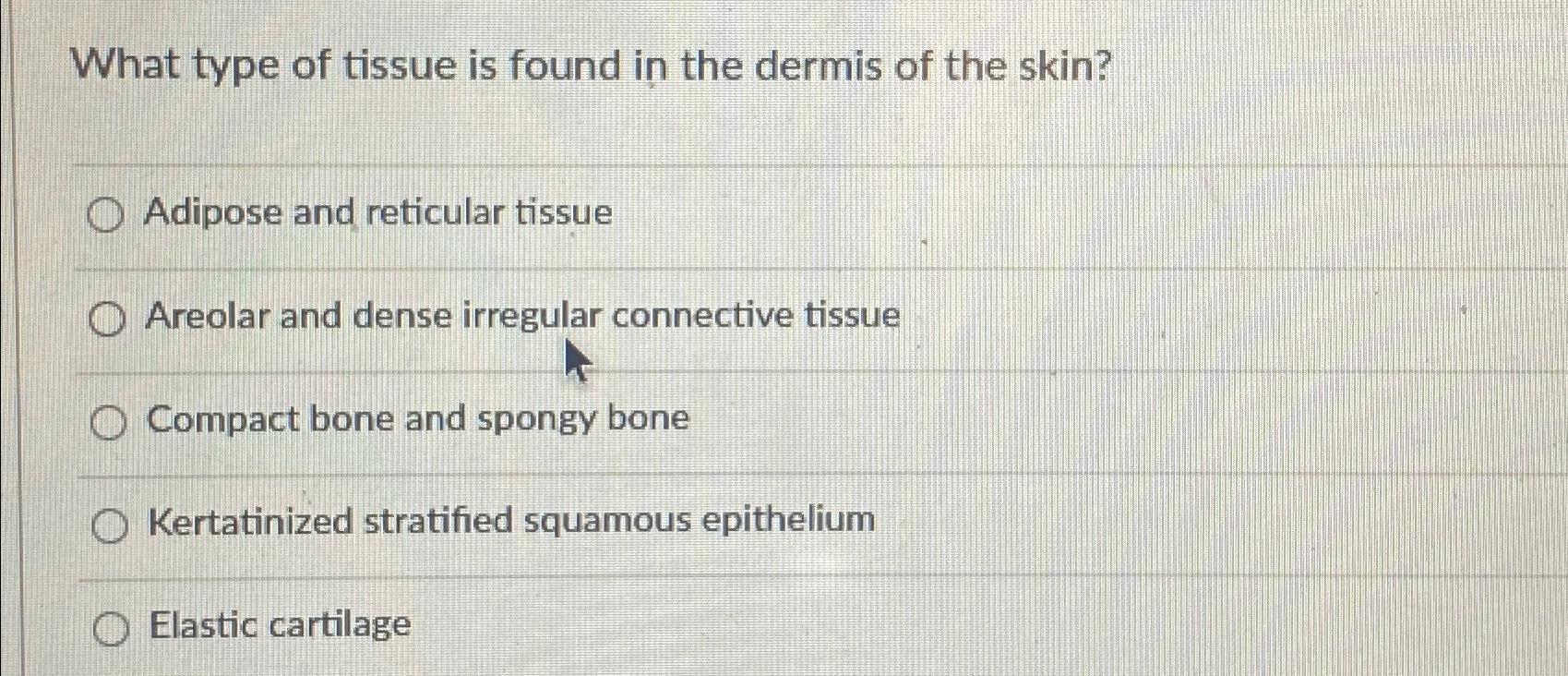 type of tissue found in dermis
