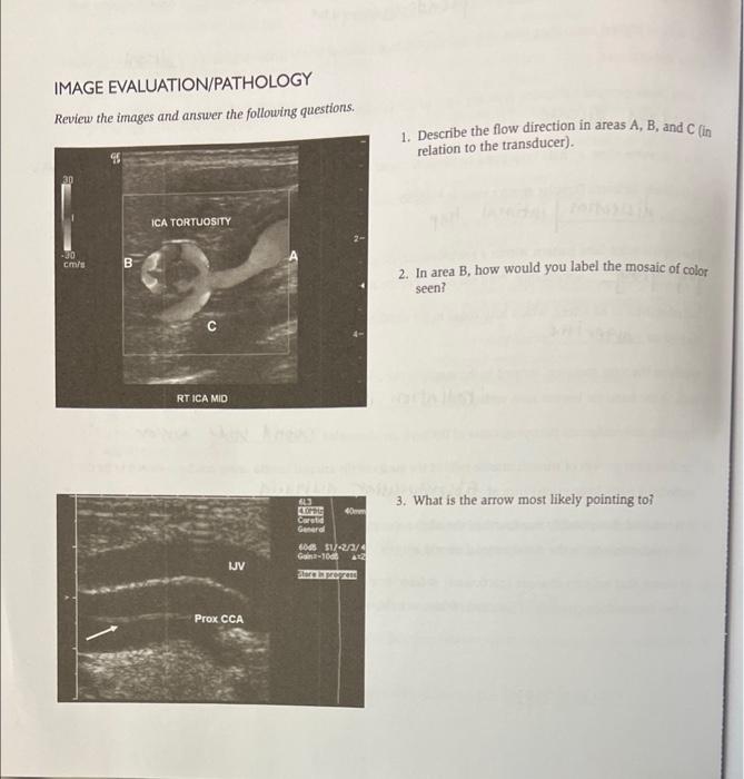 IMAGE EVALUATION/PATHOLOGY Review the images and | Chegg.com