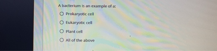 Solved A bacterium is an example of a: Prokaryotic cell | Chegg.com