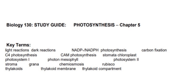 Solved Biology 130: STUDY GUIDE: PHOTOSYNTHESIS - Chapter 5 | Chegg.com