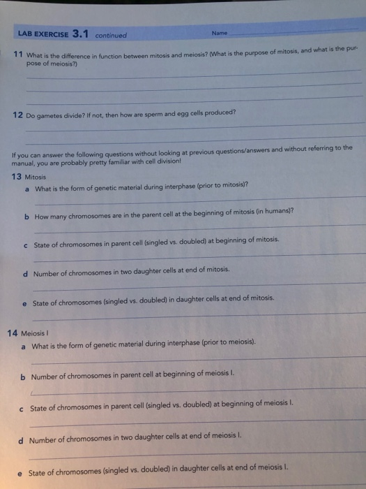 Solved: LAB EXERCISE 3.1 Continued Name What Is The Differ... | Chegg.com