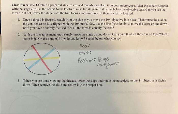 Solved Class Exercise 2.4-Obtain a prepared slide of crossed | Chegg.com