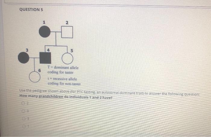 Solved QUESTIONS 5 6 T-dominant allele coding for taster In | Chegg.com