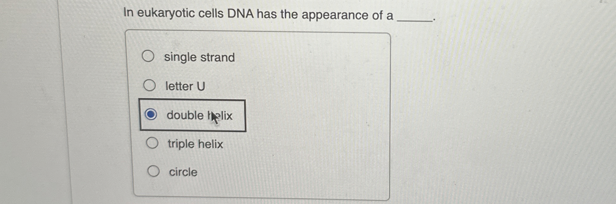 Solved In eukaryotic cells DNA has the appearance of asingle | Chegg.com