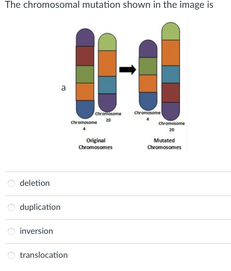 Solved The chromosomal mutation shown in the image | Chegg.com