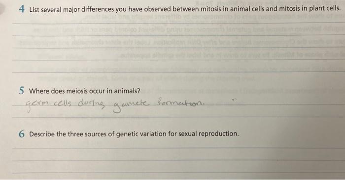 Solved 4 List several major differences you have observed 