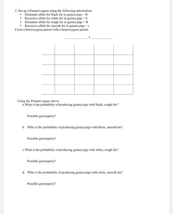 Solved 2. Set up a Punnett square using the following | Chegg.com