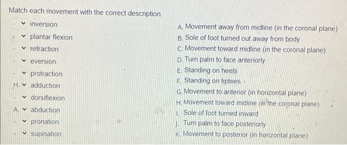 Solved Match each movement with the correct description | Chegg.com