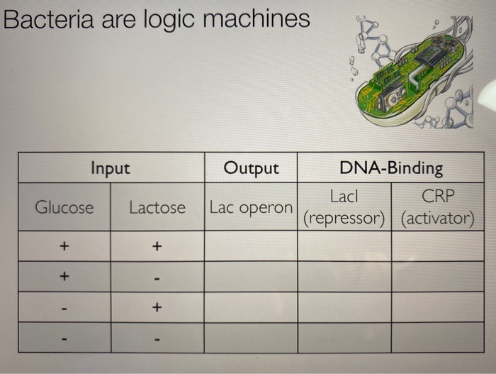 Solved Bacteria are logic machines Input Output DNA-Binding