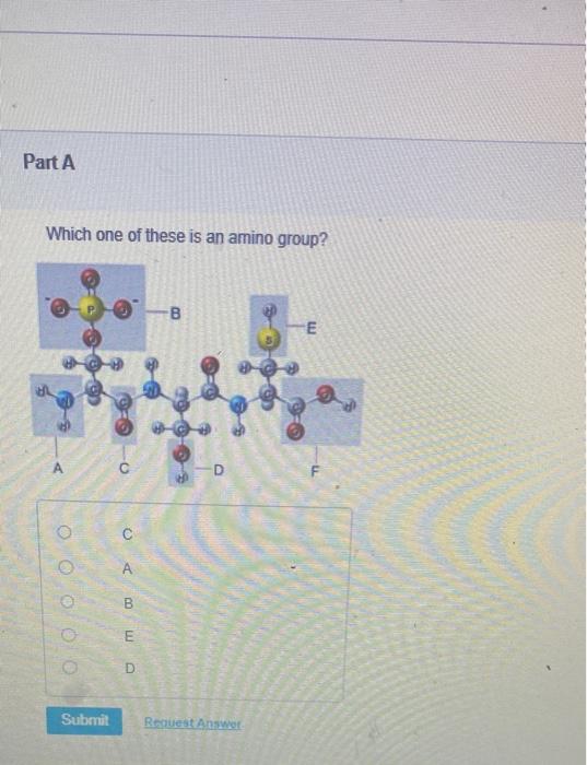 solved-which-one-of-these-is-an-amino-group-which-of-these-chegg