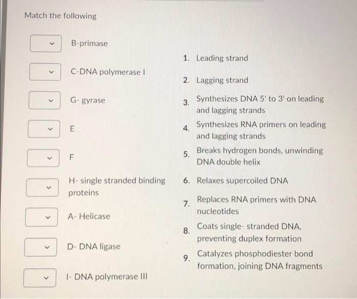 Solved Match the following | Chegg.com