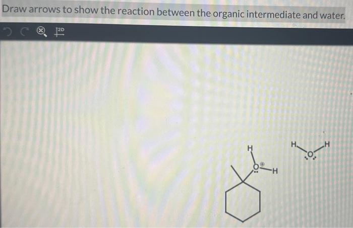 Draw arrows to show the reaction between the organic intermediate and water.