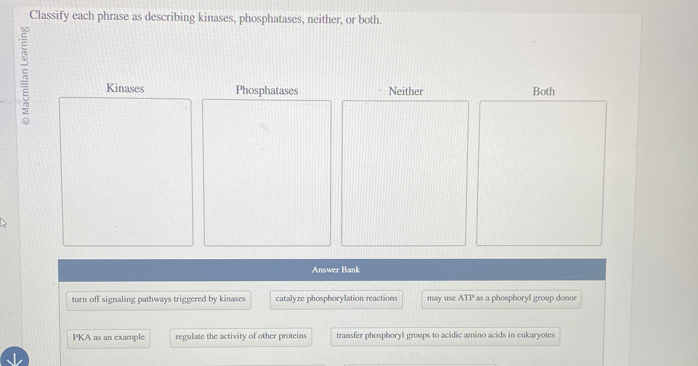 Solved Classify each phrase as describing kinases,