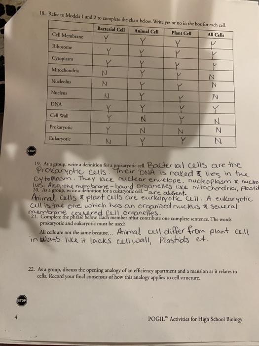 Solved Model 1 Three Types Of Bacterial Cells Prokaryotic Chegg