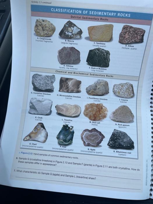 Activity 25com CLASSIFICATION OF SEDIMENTARY ROCKS | Chegg.com