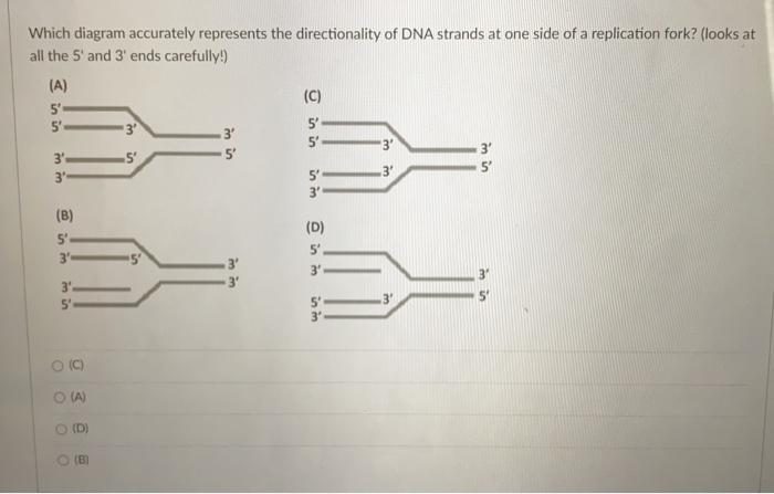 Solved 3 Which diagram accurately represents the | Chegg.com