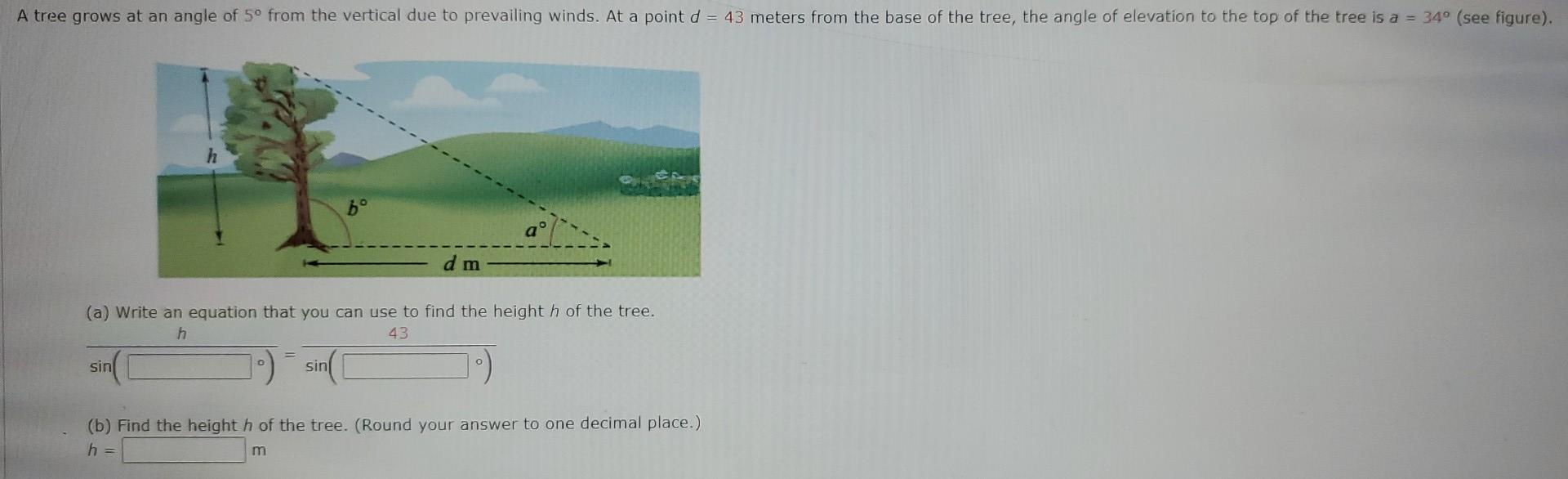 Solved grows at an angle of 5∘ from the vertical due to | Chegg.com