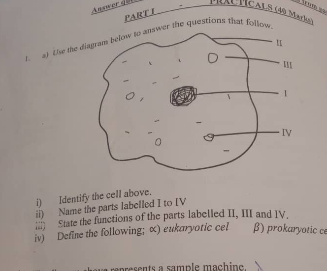 Solved PARTI1.a)Use the diagram below to answer the | Chegg.com