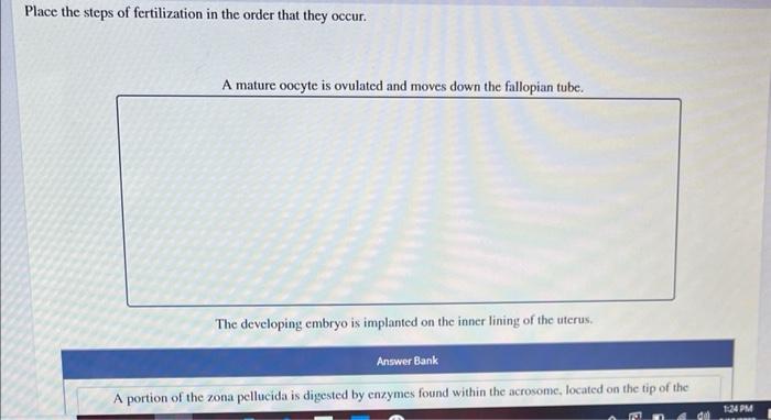 Solved please answer all of these questions and if you are | Chegg.com