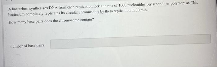 Solved A bacterium synthesizes DNA from each replication | Chegg.com 