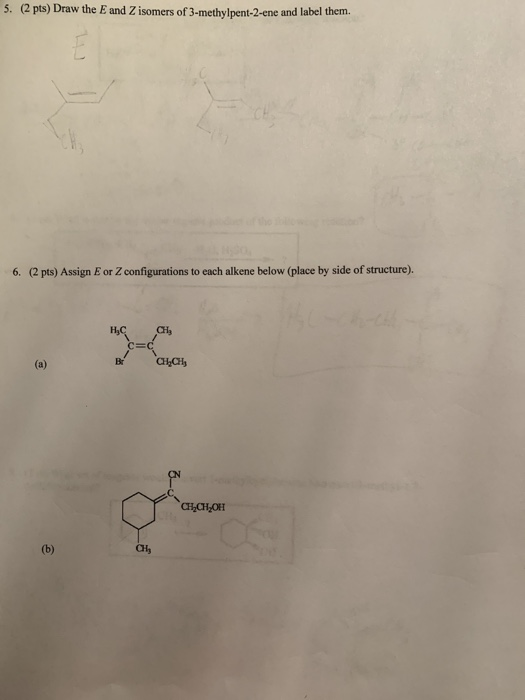 1 Draw The E And Z Isomers Of 3 Methylpent 2 Ene And Chegg Com