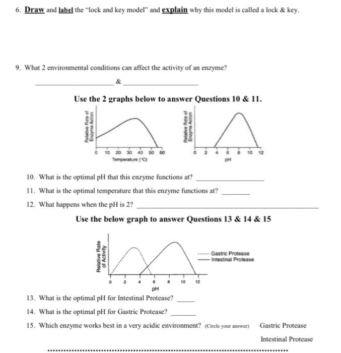 Solved 6. Draw and label the "lock and key model" and
