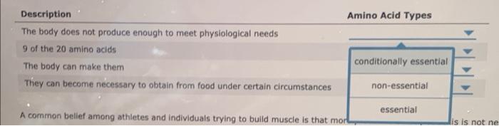 Solved Amino Acid Types Description The body does not | Chegg.com