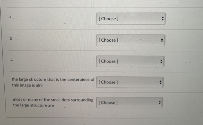 Solved Question 3 5 pts Identify the structures indicated. a | Chegg.com