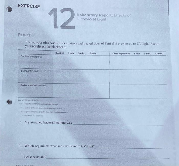 Solved EXERCISE 12 Laboratory Reports Effects of Ultraviolet | Chegg.com