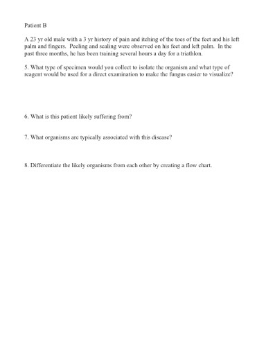 Solved Patient B A 23 yr old male with a 3 yr history of | Chegg.com