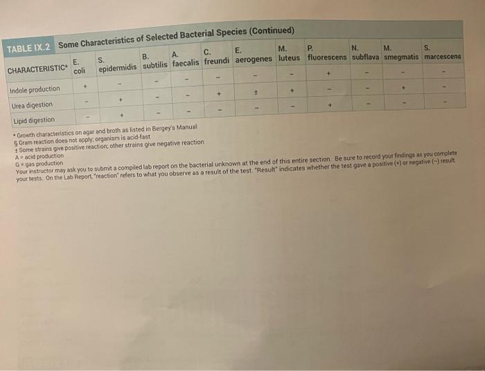 Solved create a dichotomous key for each gram negative and | Chegg.com