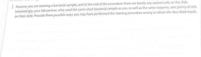 Solved I Assume you are staining a bacterial sample, and at | Chegg.com