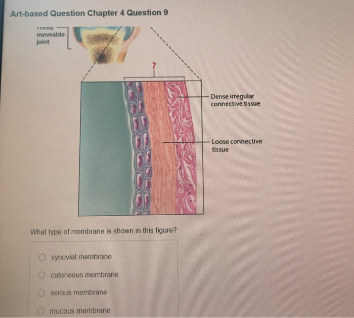 Solved Artbased Question Chapter 4 Question 9 Тесу moveable