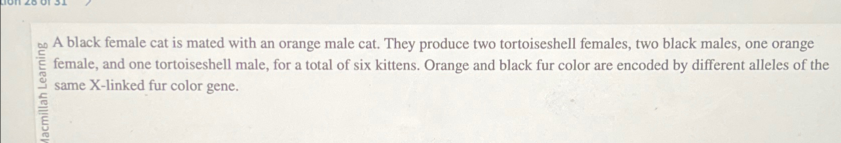 solved-an-a-black-female-cat-is-mated-with-an-orange-male-chegg