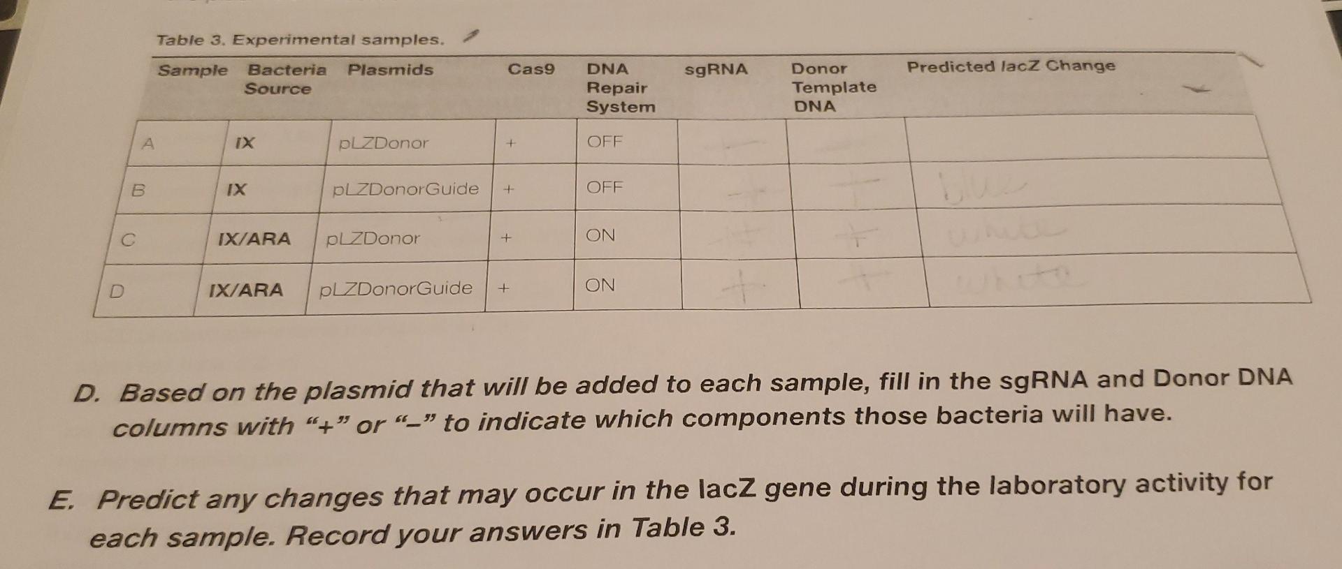 Solved Table 3. Experimental samples. Sample Plasmids Cas9 | Chegg.com