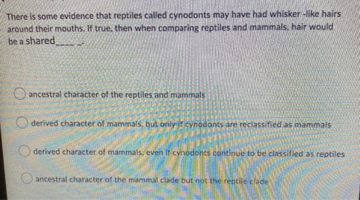 Solved There is some evidence that reptiles called cynodonts | Chegg.com