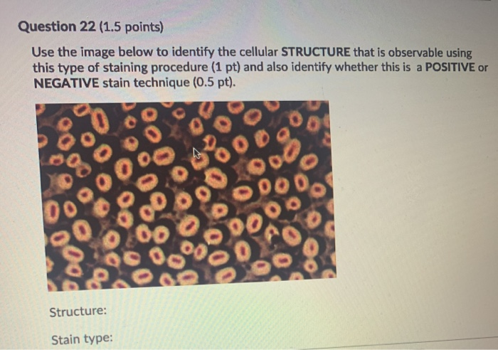 Solved Use the image below to identify the cellular | Chegg.com