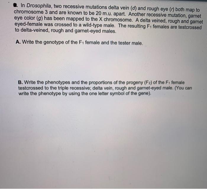 Solved L A Series Of Three Point Testcrosses Is Made To D Chegg Com