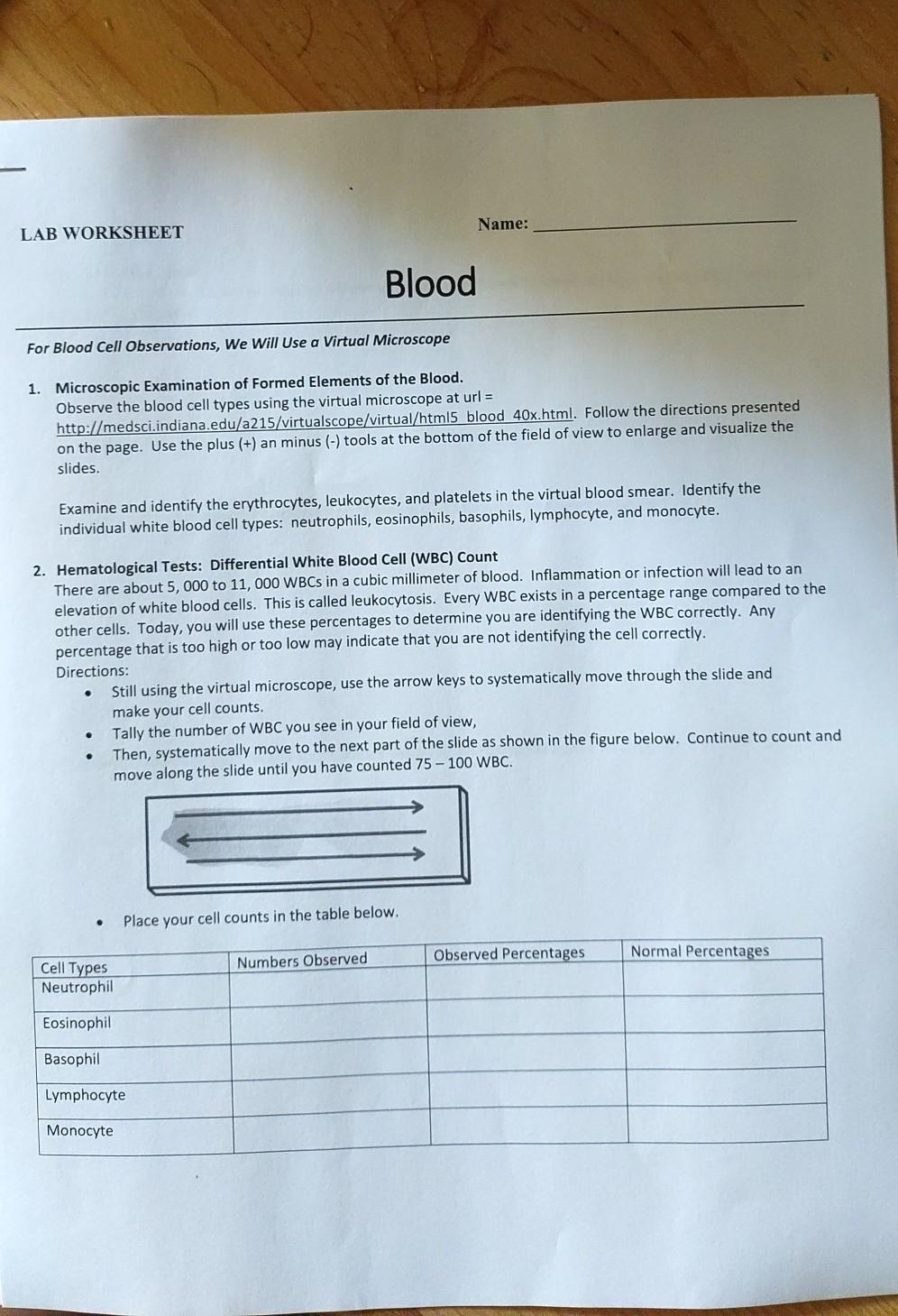 solved-name-lab-worksheet-blood-for-blood-cell-chegg