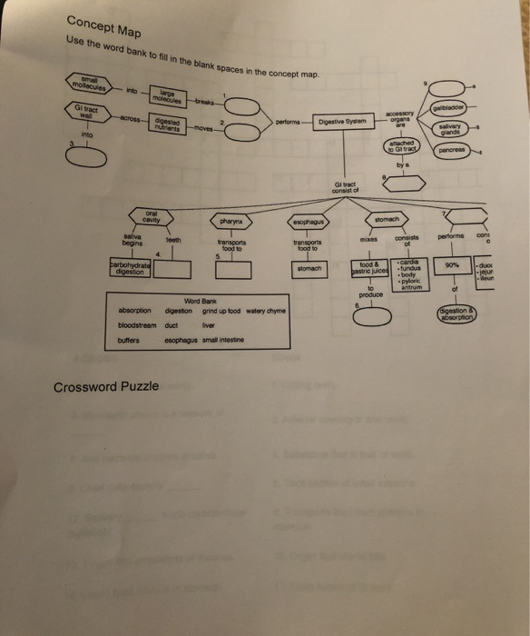 Solved Concept Map Use the word bank to fill in the blank Chegg com