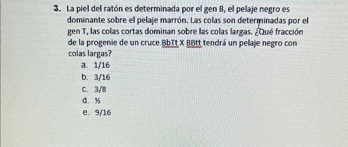 3. La piel del ratón es determinada por el gen B, el pelaje negro es dominante sobre el pelaje marrón. Las colas son determin