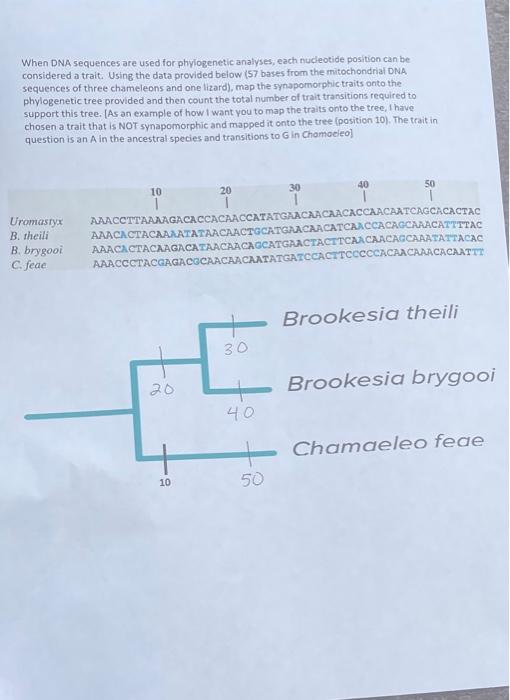 Solved When DNA Sequences Are Used For Phylogenetic | Chegg.com