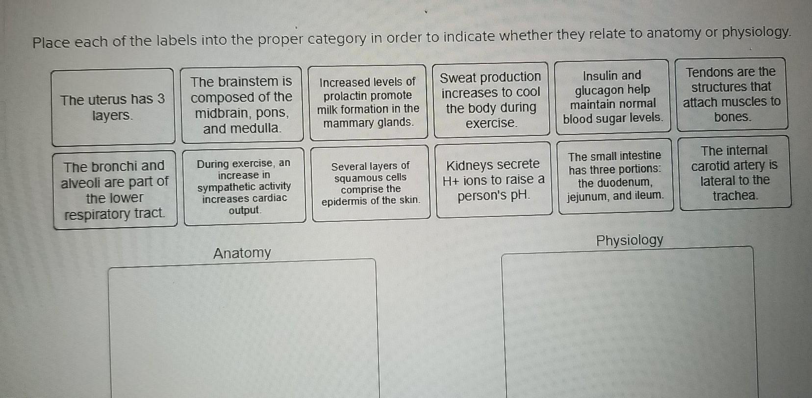 Solved Place each statement in the proper category to | Chegg.com