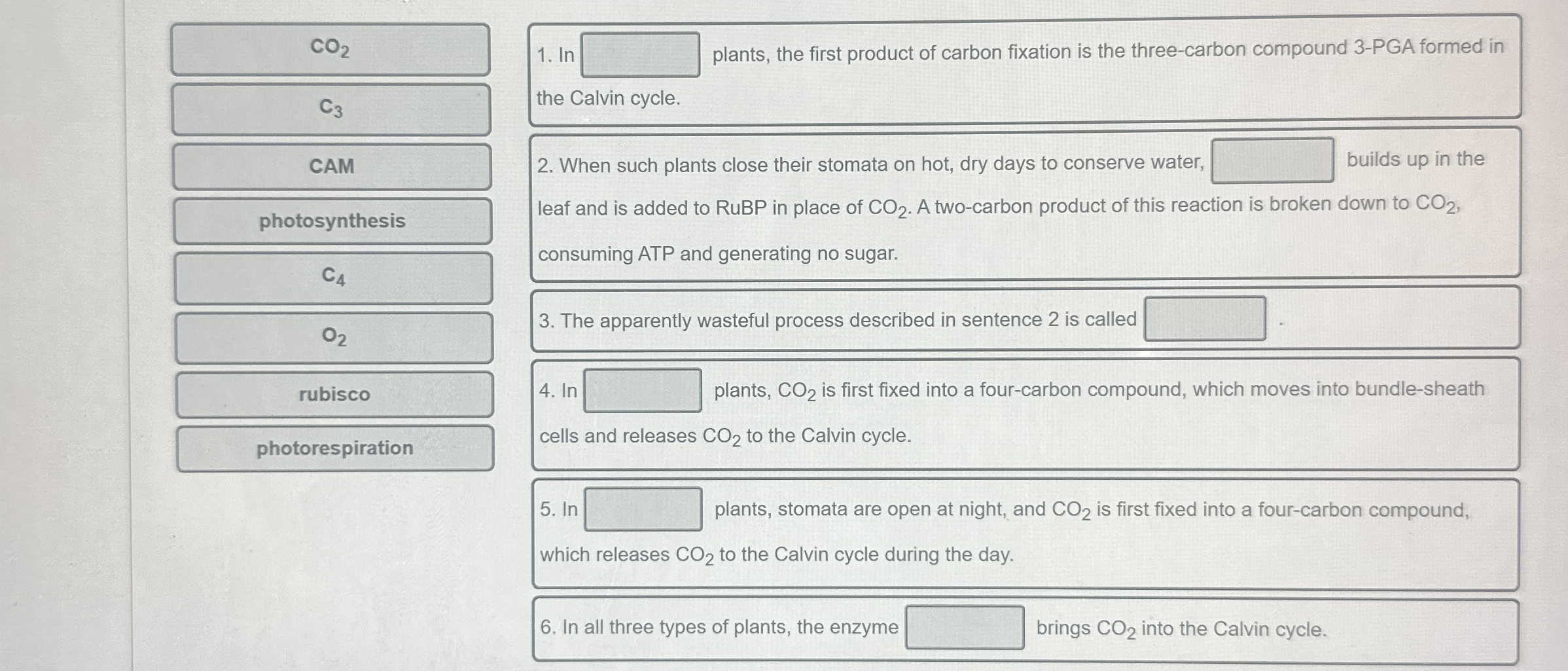 Solved CO2In ﻿plants, the first product of carbon fixation