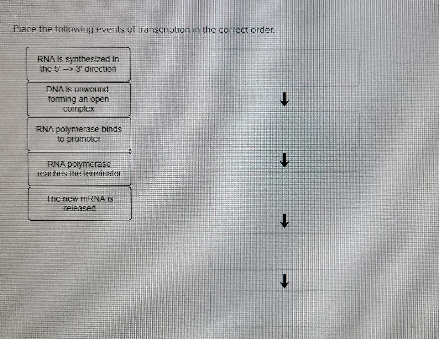 Solved Place the following events of transcription in the | Chegg.com