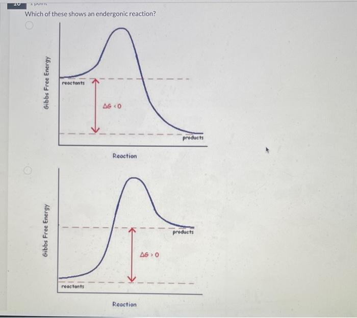 Solved Which of these shows an endergonic reaction? | Chegg.com