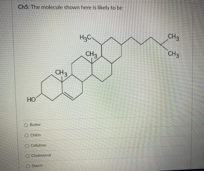 Solved Ch5: The molecule shown here is likely to be H₂C CH3 | Chegg.com