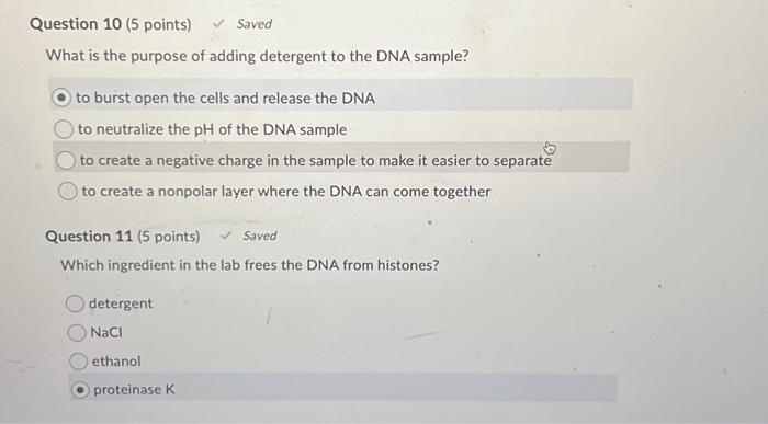 Solved To answer these question you have to go to DNA | Chegg.com