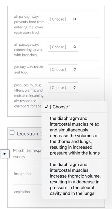 [Choose ]
air passageway:
prevents food from
entering the lower
respiratory tract
air passageway:
connecting larynx
[Choose ]