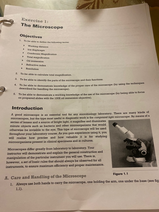 What Is The Maximum Total Magnification For A Light Microscope
